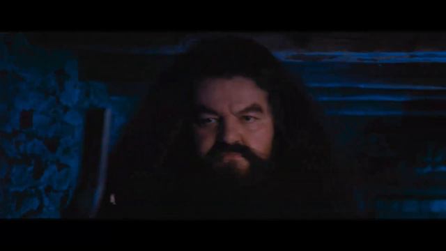 Harry Potter and The Sorcerers Stone Chapters 3 and 4. Book vs. Movie смотреть онлайн