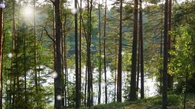 Летний мир грёз- романс- поёт Татьяна Снитко смотреть онлайн