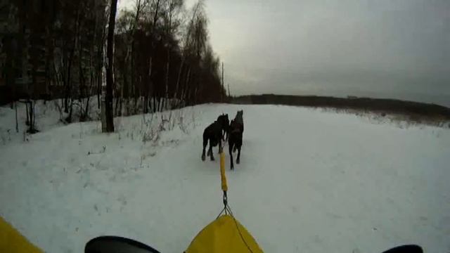 Гонка "Сильные Духом" 2012. 3 и 4 этапы. 5+5 км. смотреть онлайн