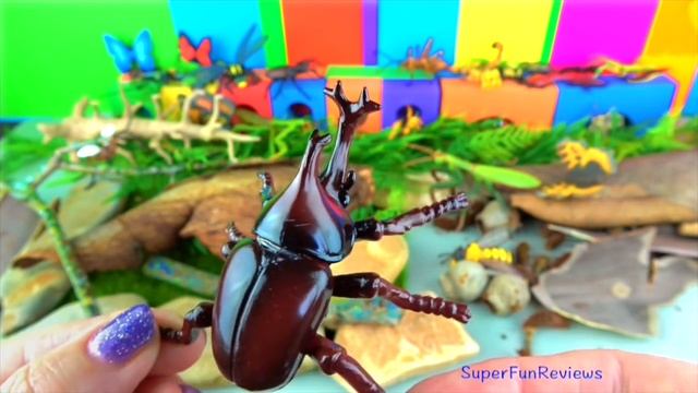 Learn Insects - Scary Bugs Creepy Spiders Kids toys - FUN Ending -Educational смотреть онлайн