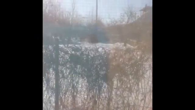 Если в сердце живет любовь 😘клип смотреть онлайн