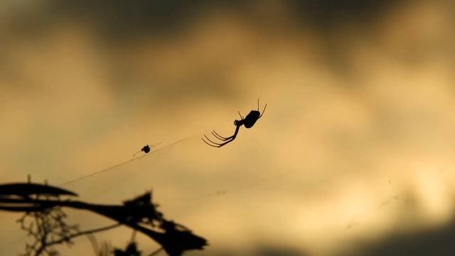 Васюткино озеро 1-5 Сам нашёл и людям показал Это озеро не отыщешь на карте Лодки упругими парусами смотреть онлайн