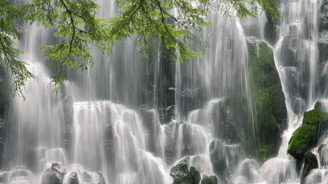 Dreamscene смотреть онлайн