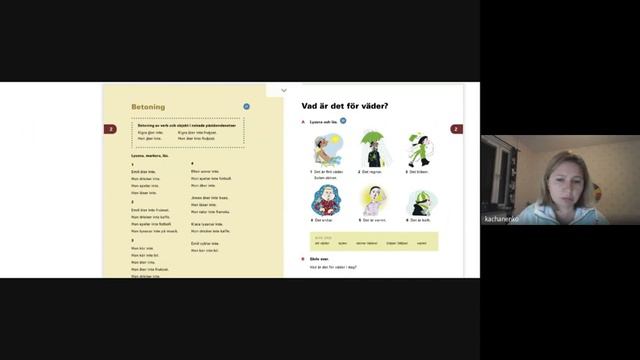 Частные уроки шведского для начинающих 23/10 2023 смотреть онлайн