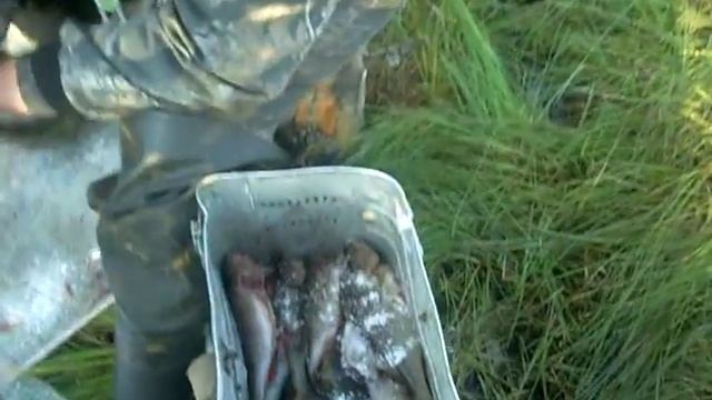 Проверка Сетей На озере смотреть онлайн