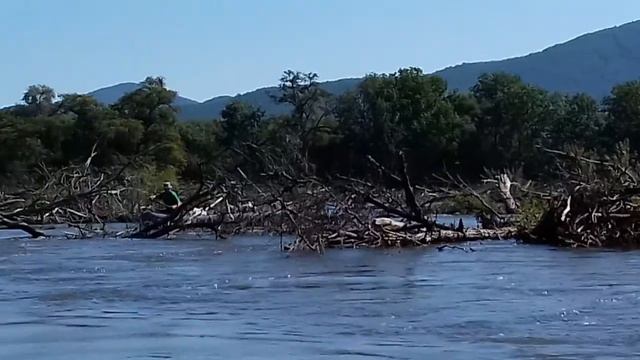 12 декабря 2020 г. смотреть онлайн