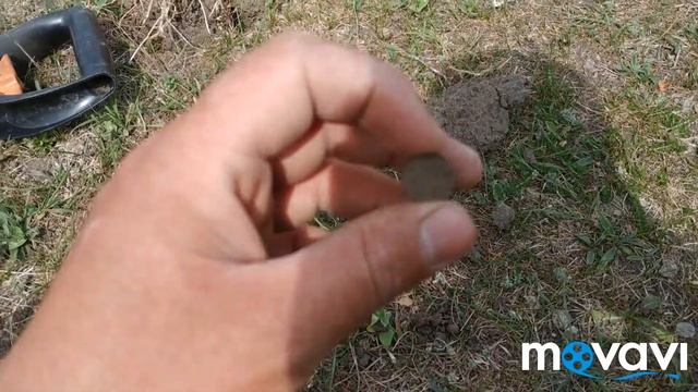 Minelab X-terra 705 НАХОДИТ МОНЕТЫ МЕЖДУ ЯМ ! смотреть онлайн