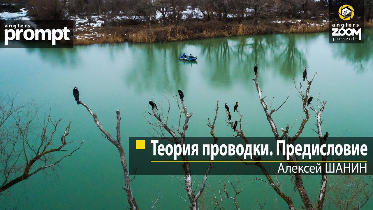 Теория проводки. Предисловие. Алексей Шанин. Anglers Prompt