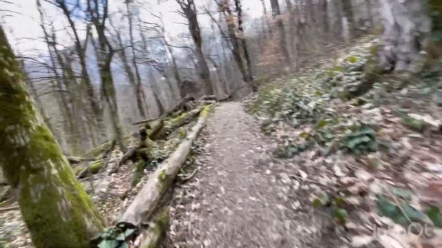 Тропа здоровья Роза Хутор прохождение с препятствиями