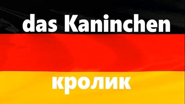 Немецкий язык с нуля, урок 10. Учим во сне, в машине, в дороге. Просто слушая, на лимбическом уровн