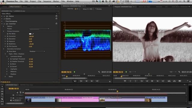 ColorFast: Secondary Correction | Tutorial смотреть онлайн