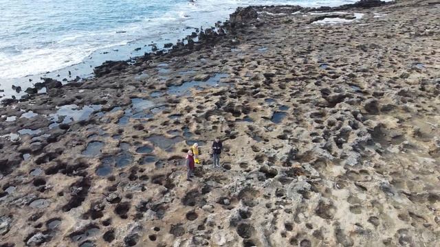 Авсаллар 2023 смотреть онлайн