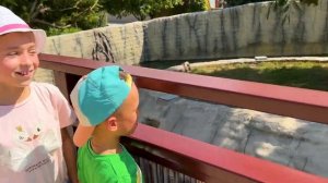 София изучает животных и кормит Жирафов .