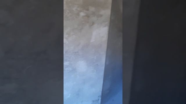 Квартира 52 кв. 5720 в ЖК Жемчужина 2.