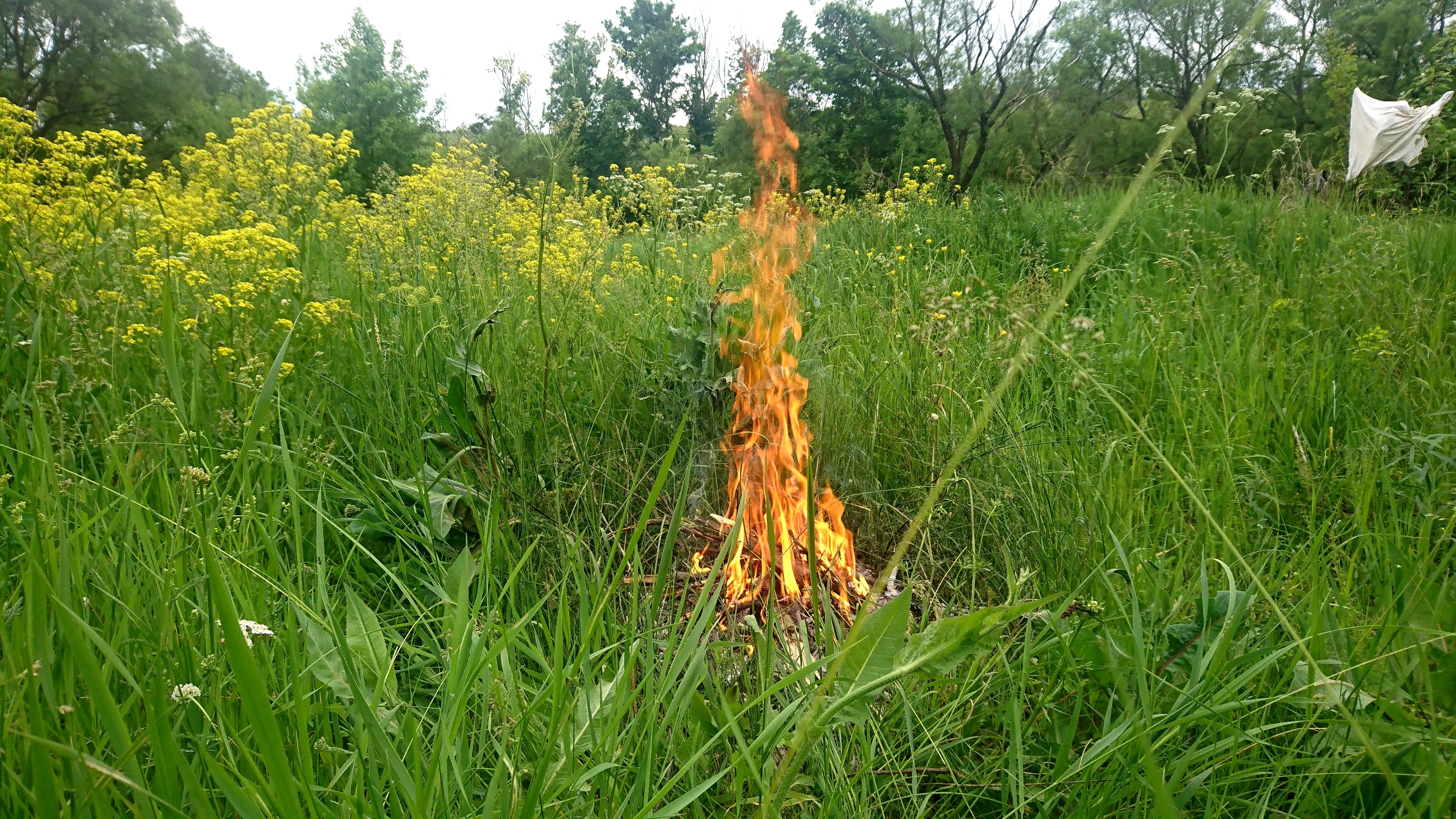 Мотовзгляд 26.06.22