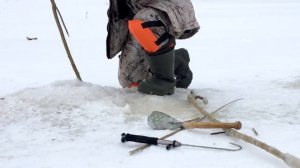 Проверка поставушек на налима / Налим на ерша / Ice Fishing for Burbot
