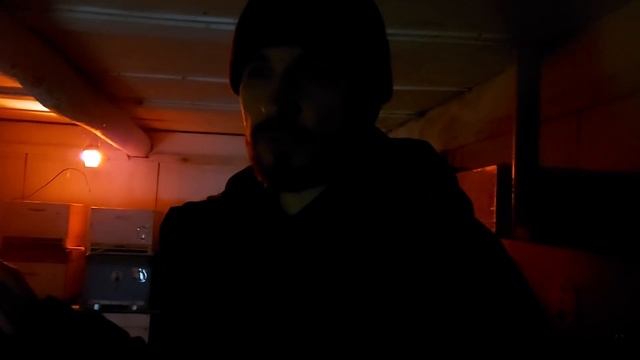 Пчелы нагревают зимовник как печь/когда выставлять пчел/сибирский пчелоблог Дмитрия Романова смотреть онлайн