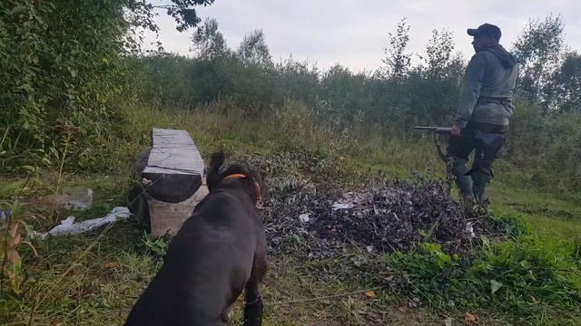 в поисках дикой утки смотреть онлайн