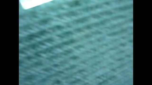 Зачем укрывать хвойные на зиму от холода? Подготовка и укрытие хвойных к зиме смотреть онлайн