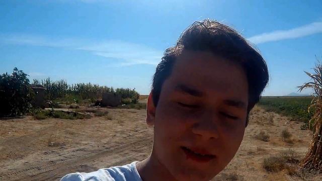 Да Это Же Узбекское Море!!! Ничего себе! Самарканд! Эмир Аскар смотреть онлайн