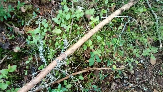 Установка Катиски - Или браконьерские петли. смотреть онлайн