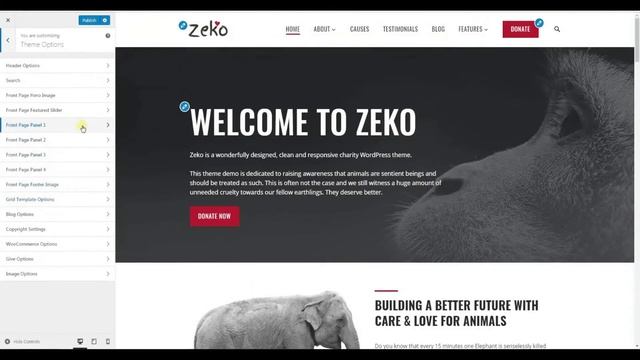 Zeko Charity WordPress Theme - Intro & Front Page смотреть онлайн