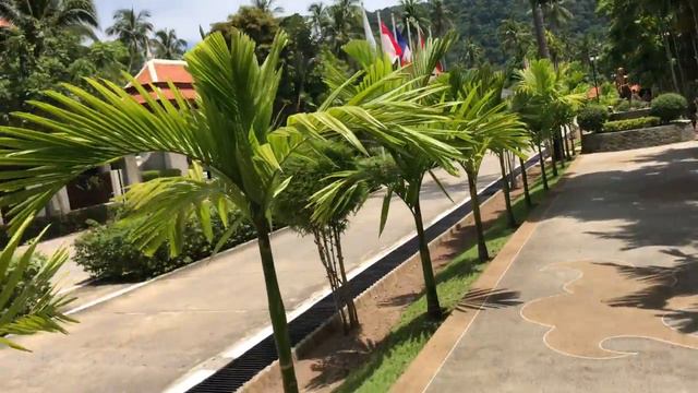 Duangjitt Resort and Spa Таиланд Патонг-Бич смотреть онлайн
