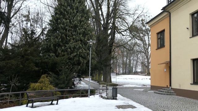 Panasonic Lumix LX15 (LX10) 4K Video Samples