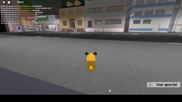 Pikachu Rat Brothers Take Over Cook Burgers