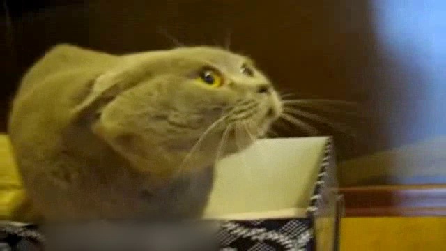 Да-да-да-да-да! смотреть онлайн