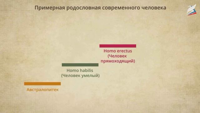 5 класс история урок 3 Первобытные собиратели и охотники смотреть онлайн