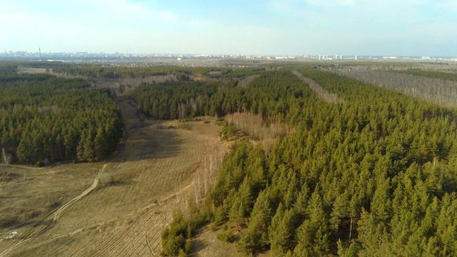 Красивый пролёт. Лес. смотреть онлайн