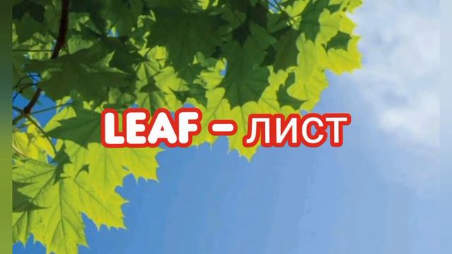 ВЕСЕННИЙ СЛОВАРЬ. 17 НОВЫХ АНГЛИЙСКИХ СЛОВ ЗА 1 МИНУТУ. смотреть онлайн