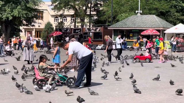 Любимый город Алматы. Голуби в Парке 28 Героев - Панфиловцев. Лето 2021 смотреть онлайн