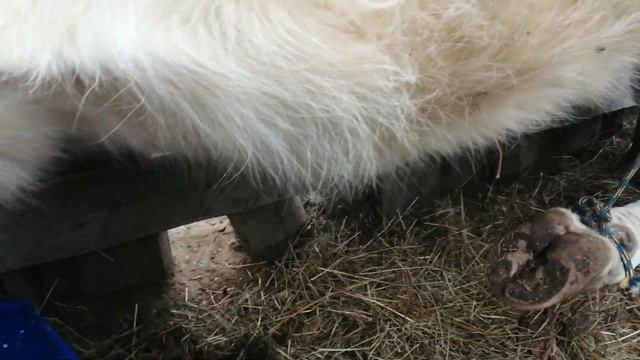 Энергетическая путаница и прояснение