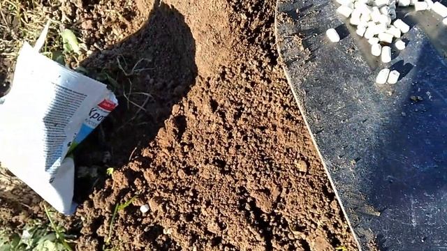 Кроты атакуют! Что делать? Как избавиться от кротов??? смотреть онлайн