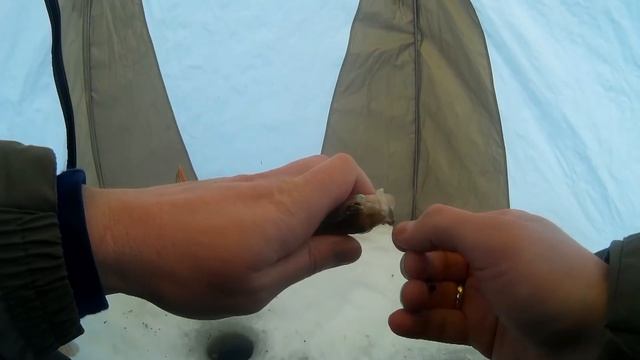 Охота за плотвой зимой смотреть онлайн