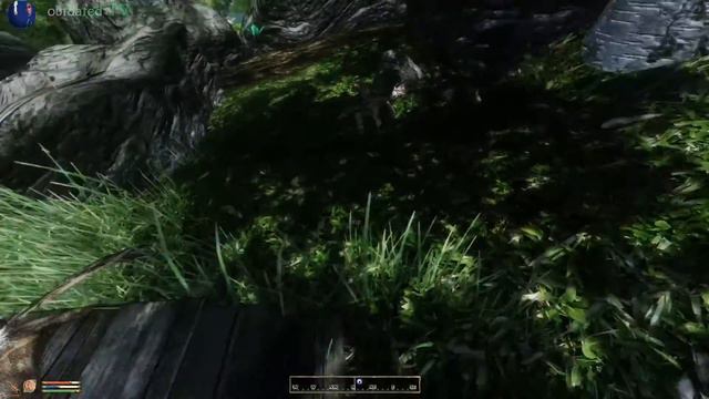 OBLIVION 2017 Bevilex' modlist applied :D - First look смотреть онлайн