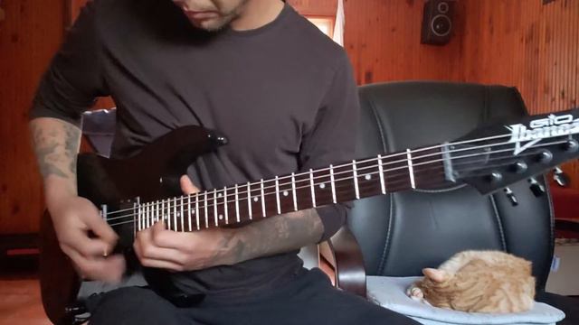 In Flames - December Flower смотреть онлайн