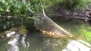 Сплав по реке Хопер (4 часть) 34 дня одиночного плавания