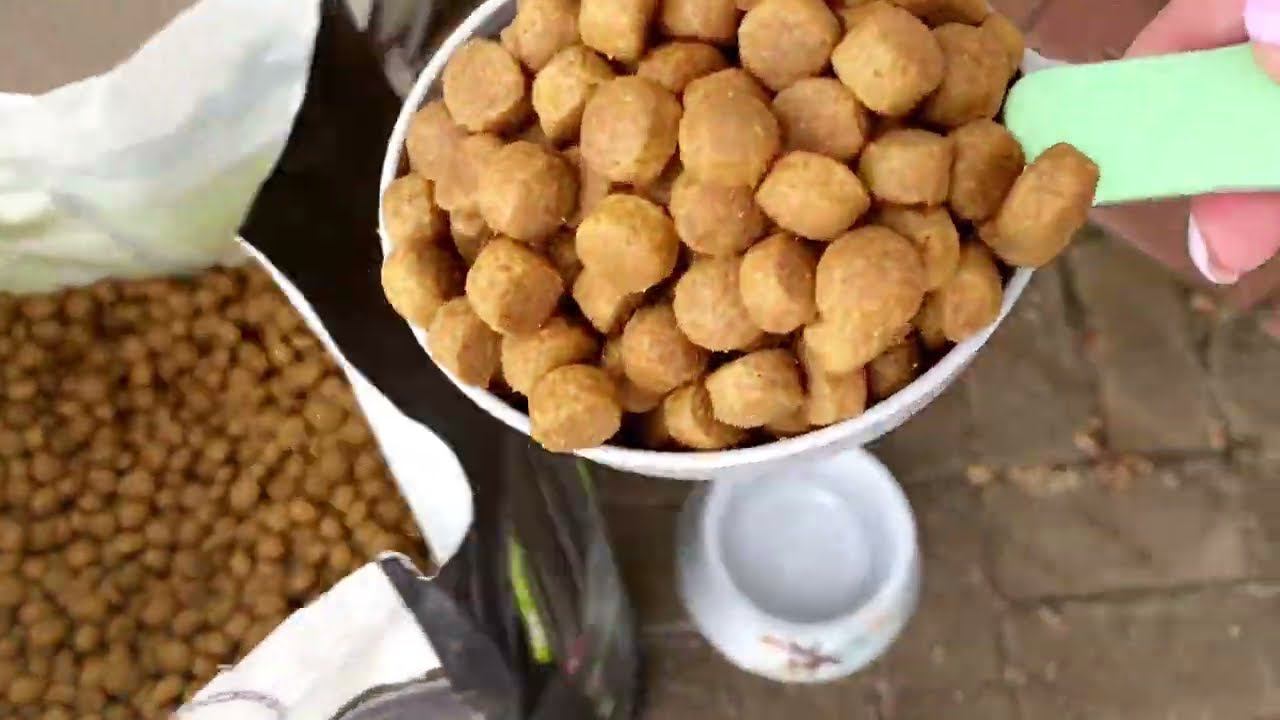 Корм для собак PROBALANCE "HYPOALLERGENIC" смотреть онлайн