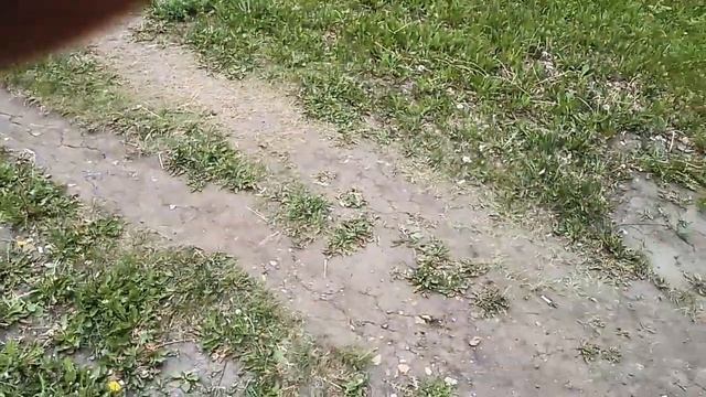 5 июня 2021 г. Саранск смотреть онлайн