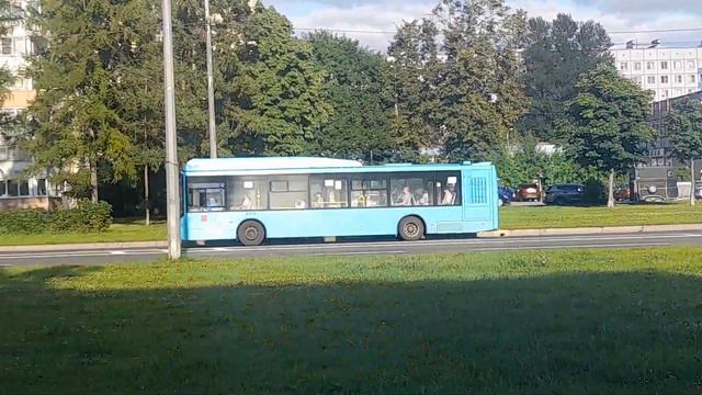 Volgabus-5270.G4 (CNG) №6593