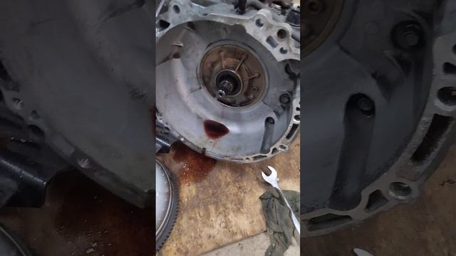 Классический Али!