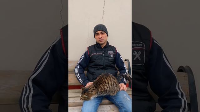 почему стучат гидрокомпенсаторы. Стук в двигателе. ваз 2110 2112 2109 2114 приора 8 клапанов 16 кла смотреть онлайн