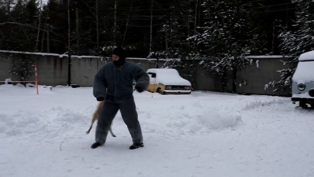 Профессия-кинолог смотреть онлайн