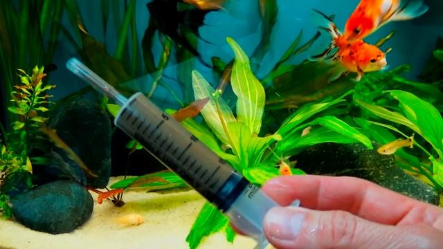 Удобрение для аквариумных растений смотреть онлайн