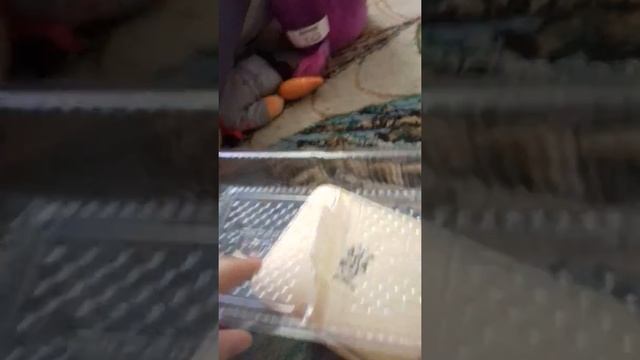 Как я ухаживаю за своим хобби хорсом смотреть онлайн