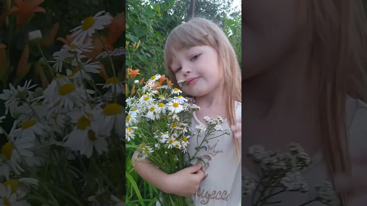 Мишель, мошка и лекарственные травы #shortvideo #nature #subscribe #2024 #cutebaby #baby смотреть онлайн