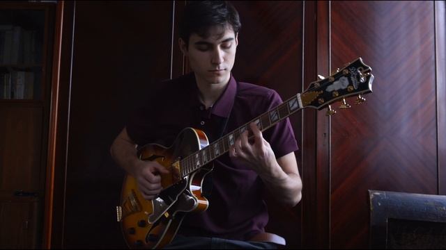 Dream A Little Dream of Me - Using D'Angelico Excel SS смотреть онлайн